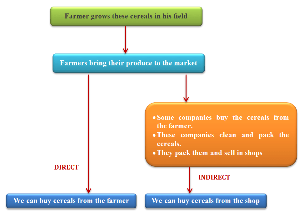 farmer grows cereals, hunterers, gatherers, Chapter-3-History-class-6-Question-8